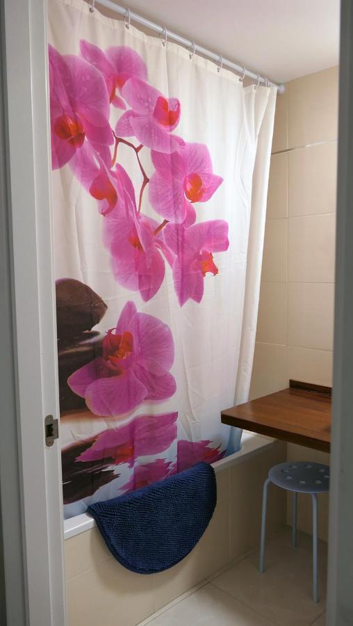 Apartament Ramon A Pobla Pobla de Segur Extérieur photo